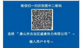 大唐热力最新爆料,揭秘行业变革背后的秘密