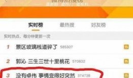 卓伟2024年最新的爆料,娱乐圈惊天大事件揭秘