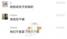 邢台公务员爆料最新消息,揭秘最新人事变动与政策调整内幕