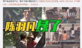 王海鑫最新爆料新闻视频,揭秘事件背后惊人真相